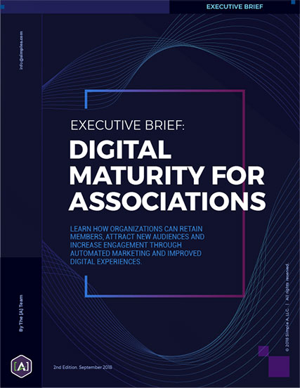 Executive Brief: Digital Maturity for Associations